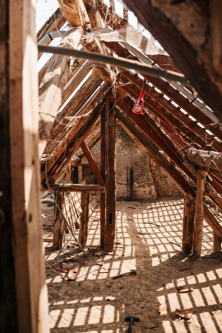 Sunlit view of a rustic attic roof under renovation, showcasing wooden beams and natural textures.